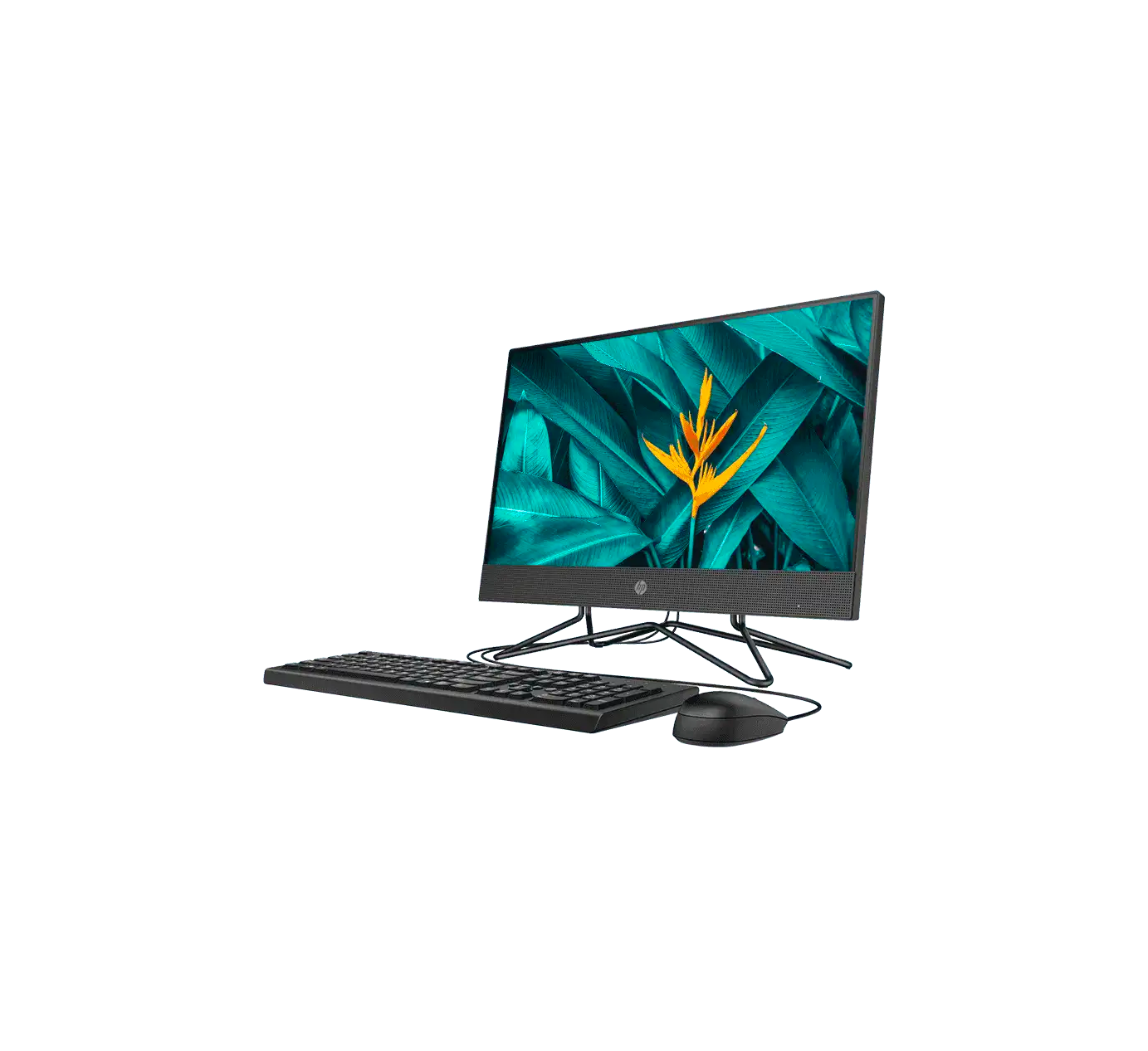 HP 205 G4 22 All-in-One PC – Sound & Vision