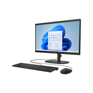 HP All-in-One (AIO) 22 DG0018 Desktop